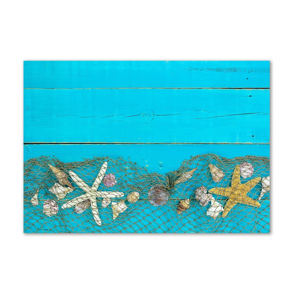 Wall art on glass Starfish and shells