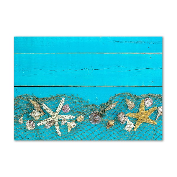 Wall art on glass Starfish and shells