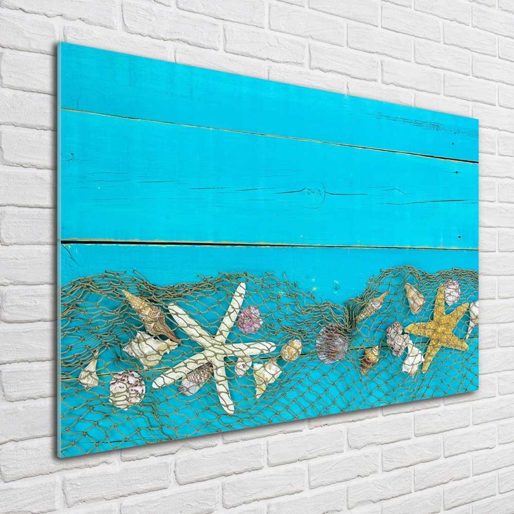 Wall art on glass Starfish and shells