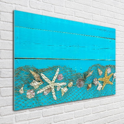 Wall art on glass Starfish and shells