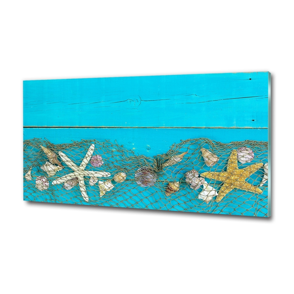 Wall art on glass Starfish and shells