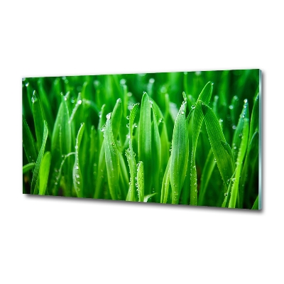 Wall art on glass Grass