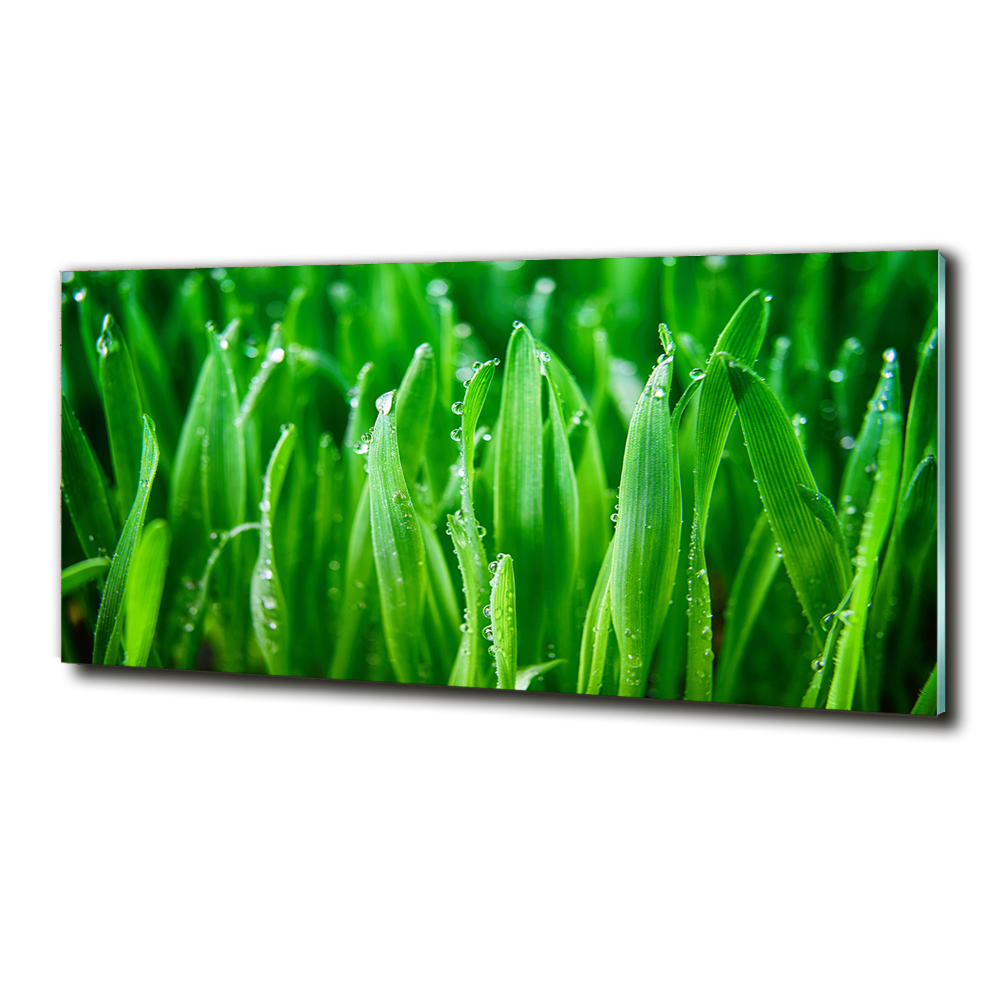 Wall art on glass Grass