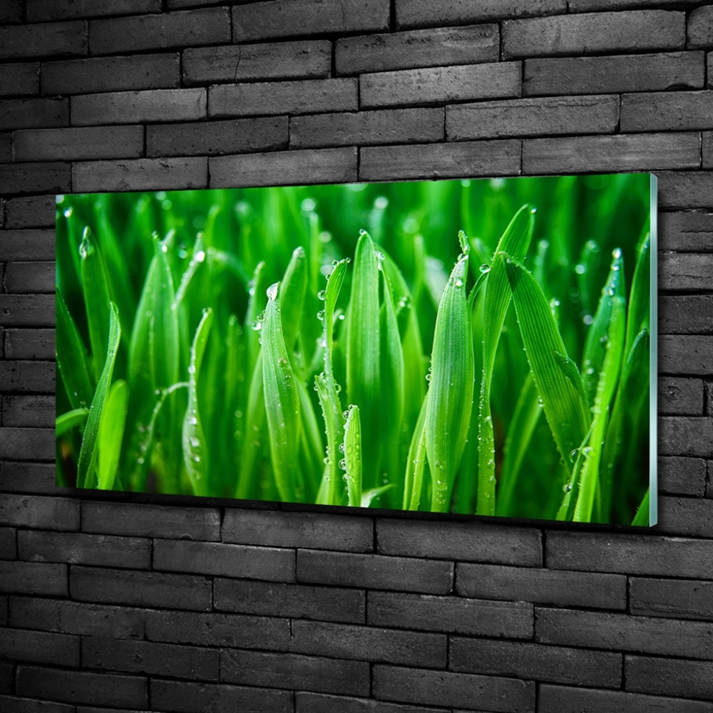 Wall art on glass Grass