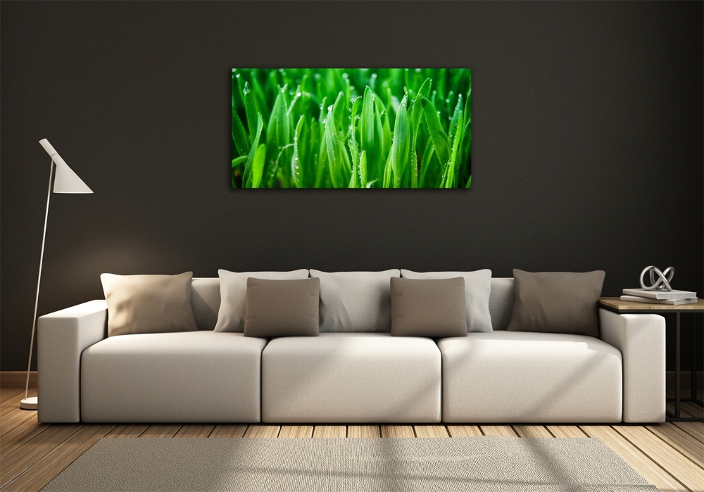 Wall art on glass Grass