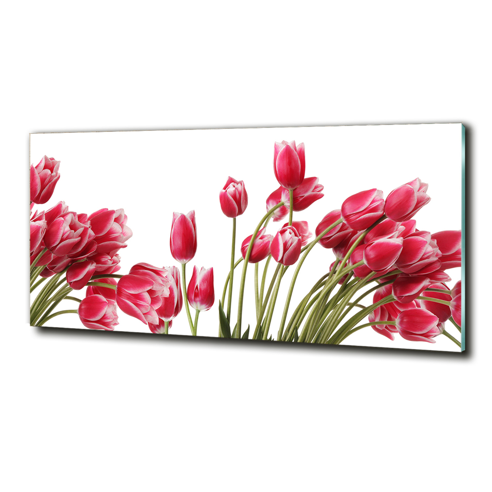 Glass art print Red tulips