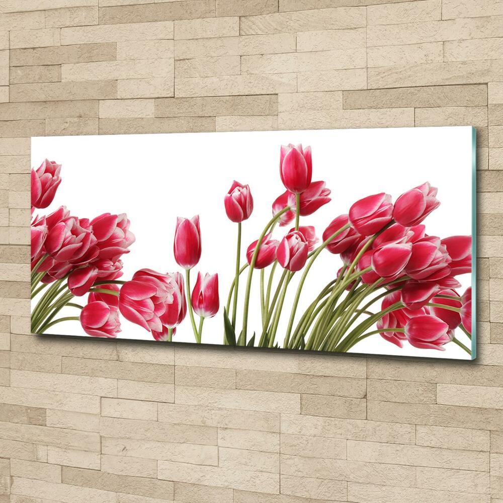 Glass art print Red tulips