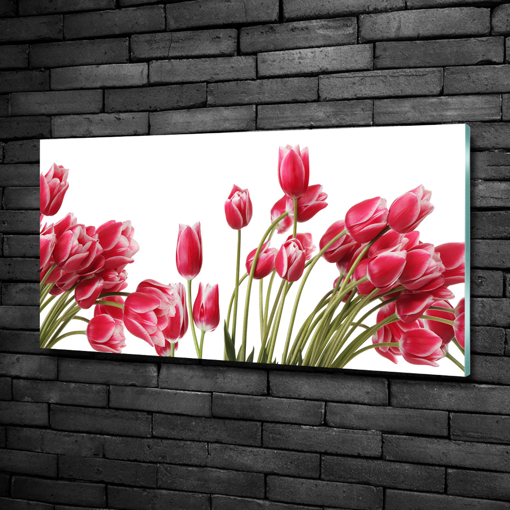 Glass art print Red tulips