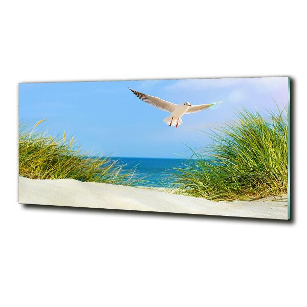 Glass picture wall art Seagull on the beach