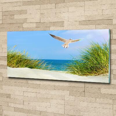 Glass picture wall art Seagull on the beach