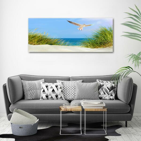 Glass picture wall art Seagull on the beach