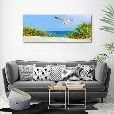 Glass picture wall art Seagull on the beach