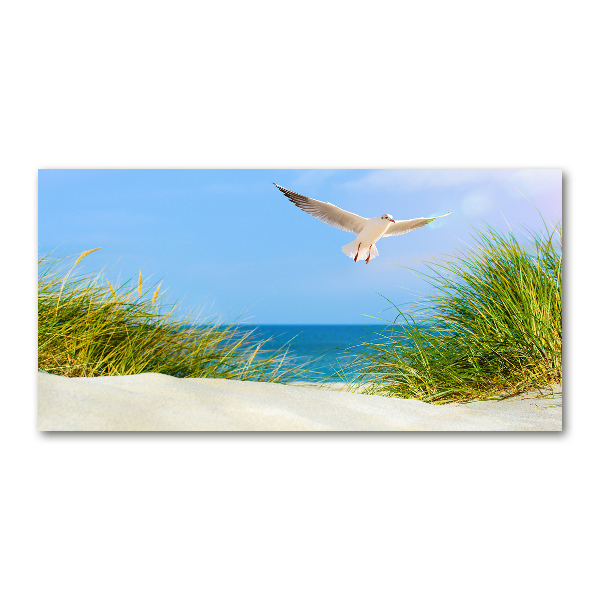 Glass picture wall art Seagull on the beach