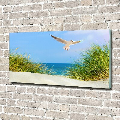 Glass picture wall art Seagull on the beach