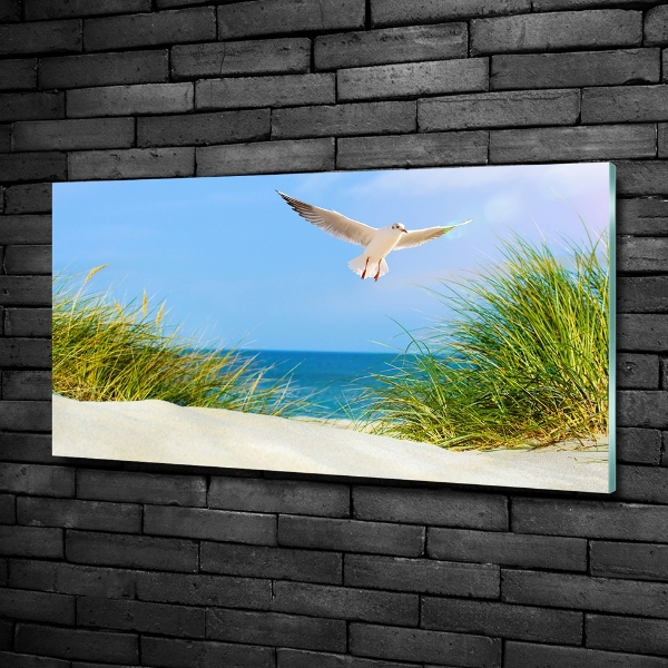 Glass picture wall art Seagull on the beach