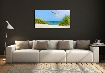 Glass picture wall art Seagull on the beach