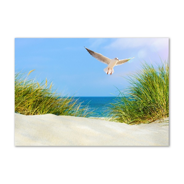 Glass picture wall art Seagull on the beach