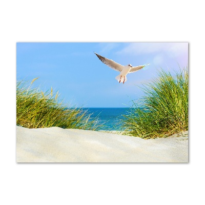 Glass picture wall art Seagull on the beach