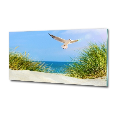 Glass picture wall art Seagull on the beach