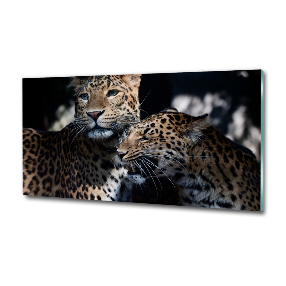 Wall art on glass Two leopards