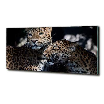 Wall art on glass Two leopards