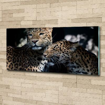 Wall art on glass Two leopards