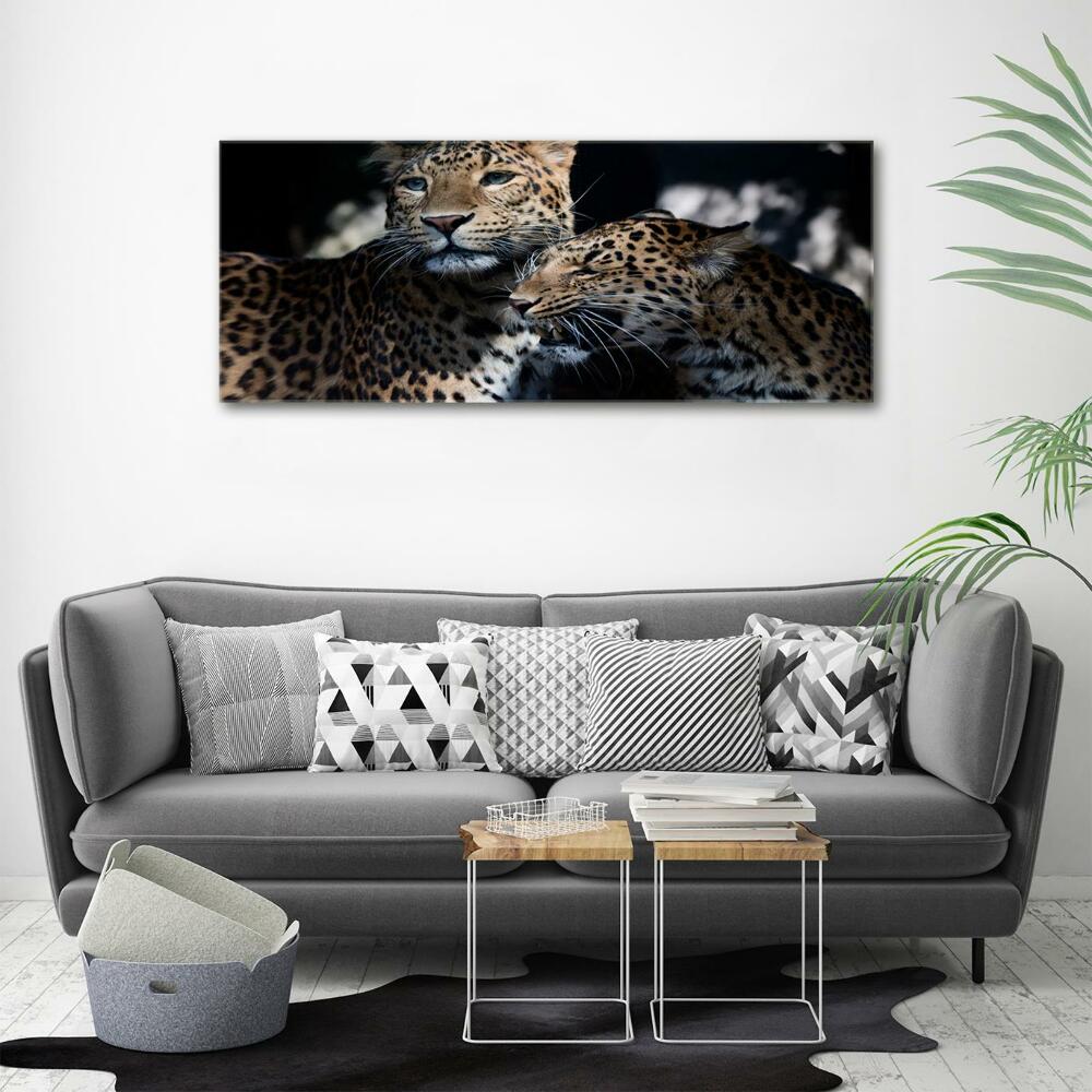 Wall art on glass Two leopards