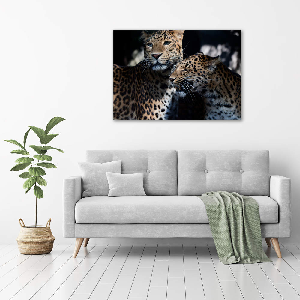 Wall art on glass Two leopards