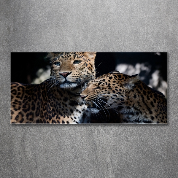 Wall art on glass Two leopards