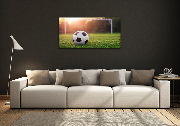 Wall art on glass Football