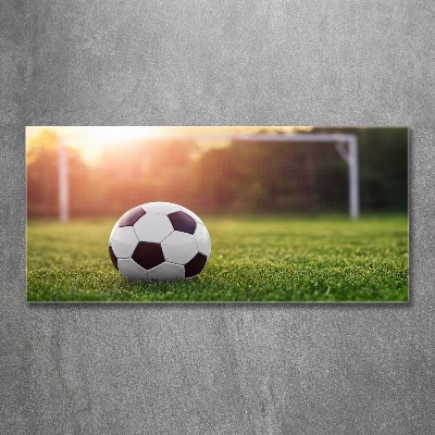 Wall art on glass Football