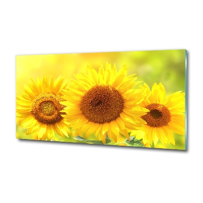 Wall art on glass Sunflowers