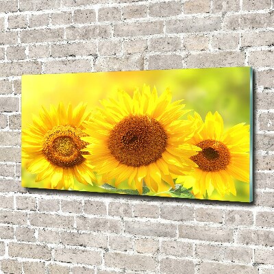 Wall art on glass Sunflowers