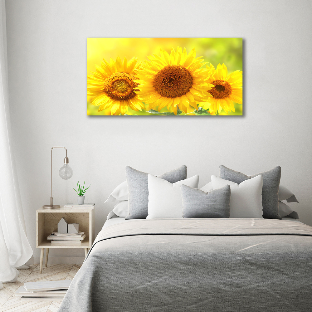 Wall art on glass Sunflowers