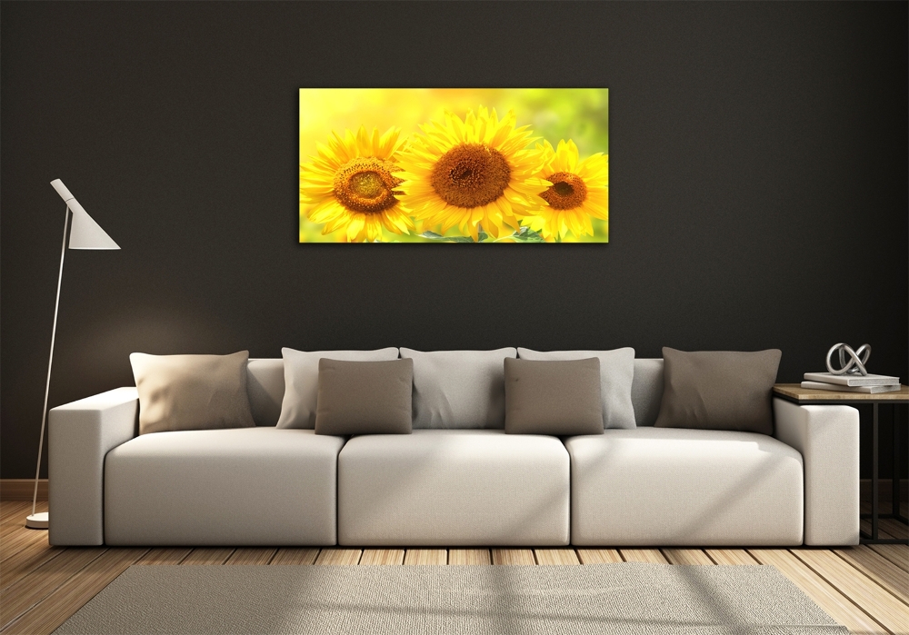 Wall art on glass Sunflowers