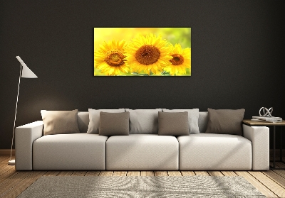 Wall art on glass Sunflowers