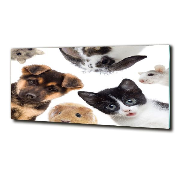 Glass art print Pets