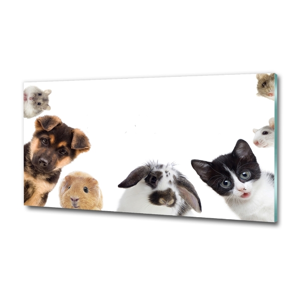 Glass art print Pets