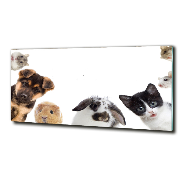 Glass art print Pets