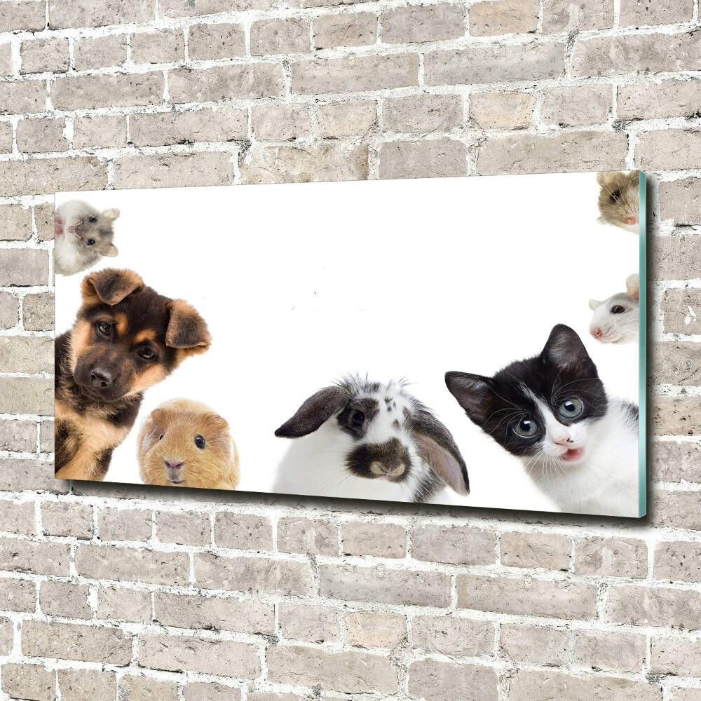 Glass art print Pets