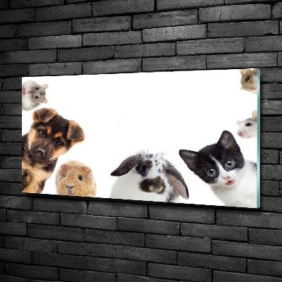 Glass art print Pets