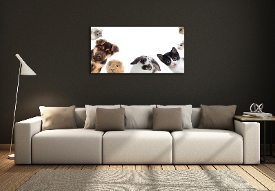 Glass art print Pets