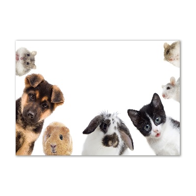 Glass art print Pets