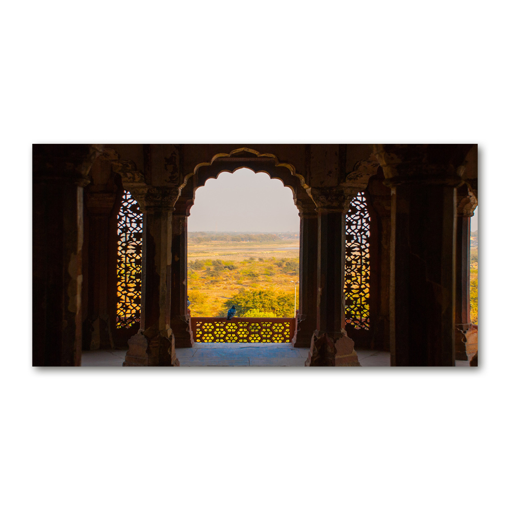 Wall art on glass Fort agra india