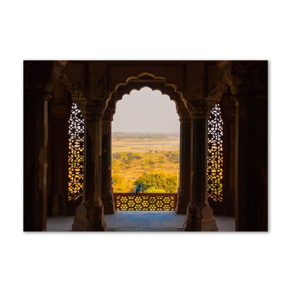 Wall art on glass Fort agra india