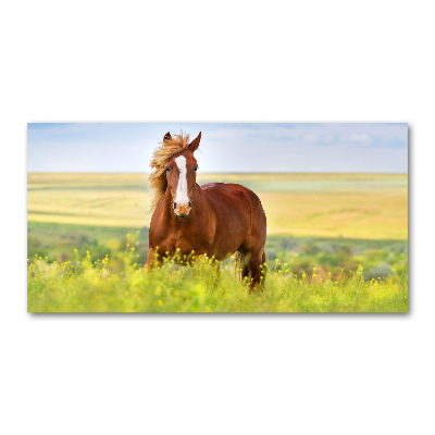 Wall art on glass Brown horse