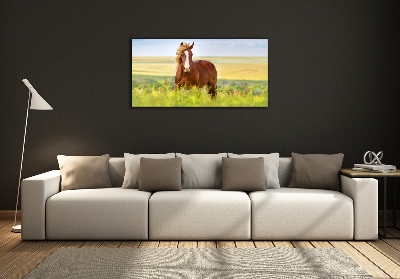 Wall art on glass Brown horse