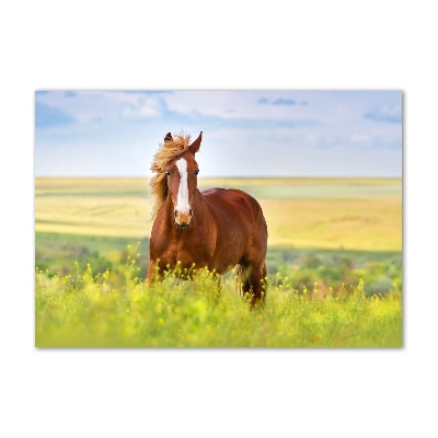 Wall art on glass Brown horse