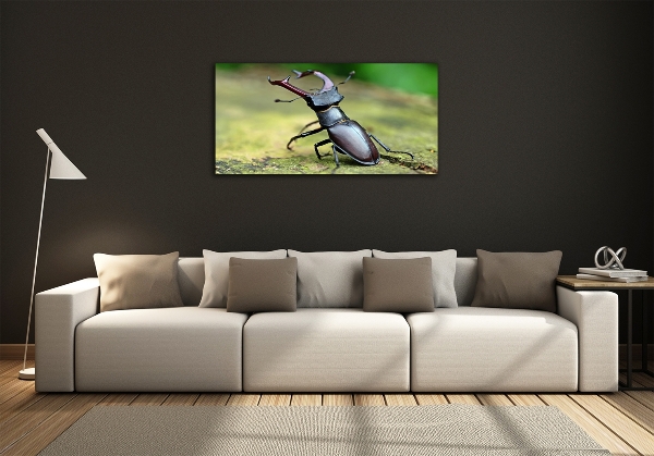 Wall art on glass Beetle