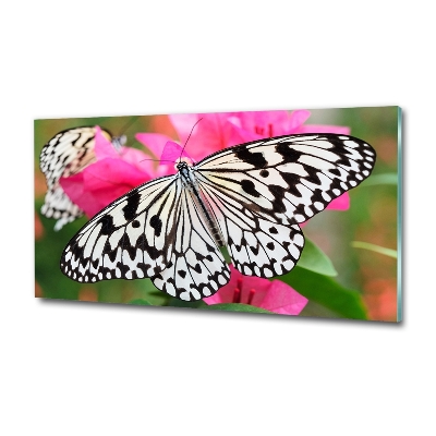 Glass art print Flower butterfly